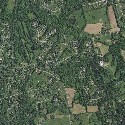 Youths reported in woods behind Brookswood Rd residence