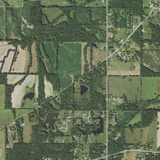 70-year-old man reports leg pain at Harmony Ln