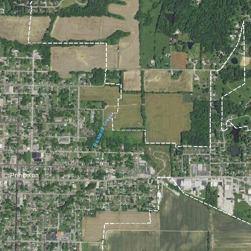 65-year-old man fell from bed, possibly broke leg