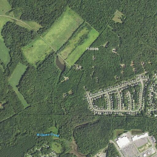 Person having seizure at Alexis Lane in King George