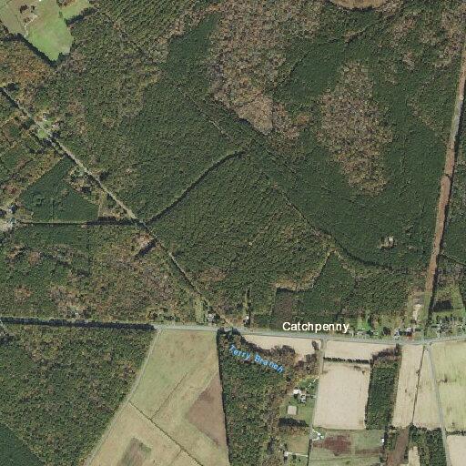 Medical emergency reported at Catch Penny Road location