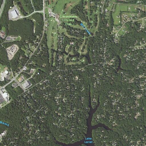 Animal complaint on Rawhide Road in Lusby