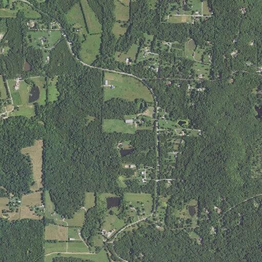 Small brush fire extinguished on Tom Frost Road