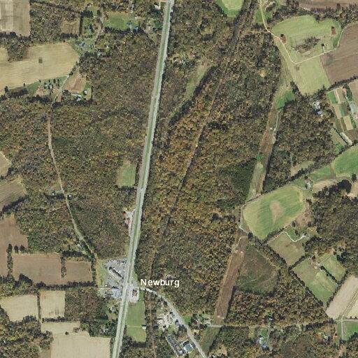 Car hit deer on Crain Highway in Newburg