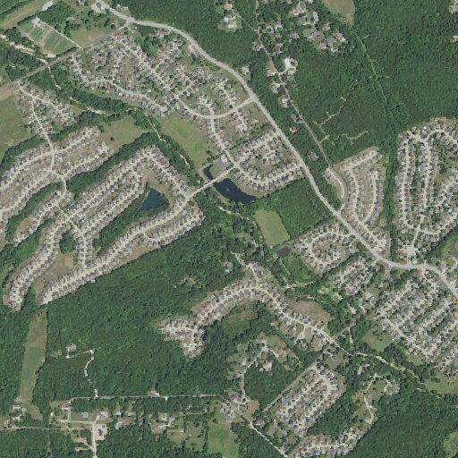 Person experiencing psychiatric emergency at Burgundy Drive