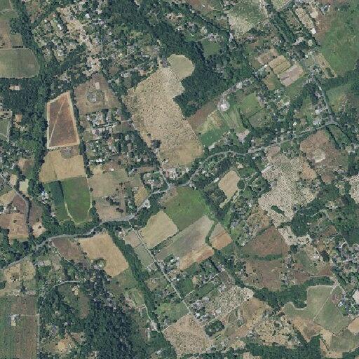 Public assist on Sexton Road in Sebastopol