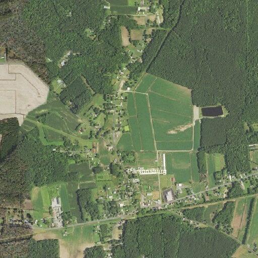 Animal bite reported at Old Ocean City Road location