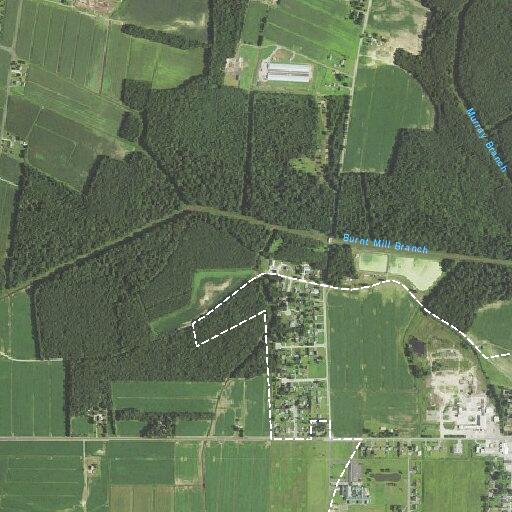 Elderly woman falls and suffers hip pain near Old Mill Road
