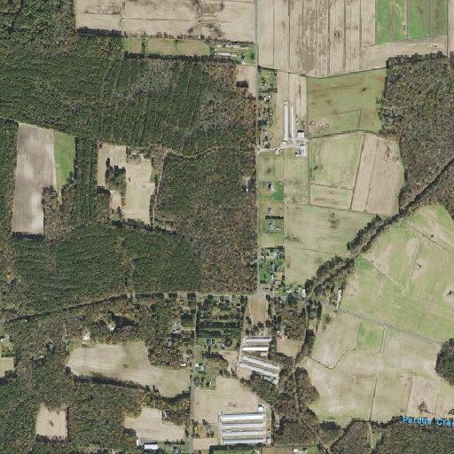Fire alarm activation canceled on Holt Road