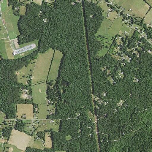 Dog killing livestock at Dove Landing Drive