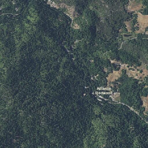 Person reported ill at Camp Meeker conference grounds