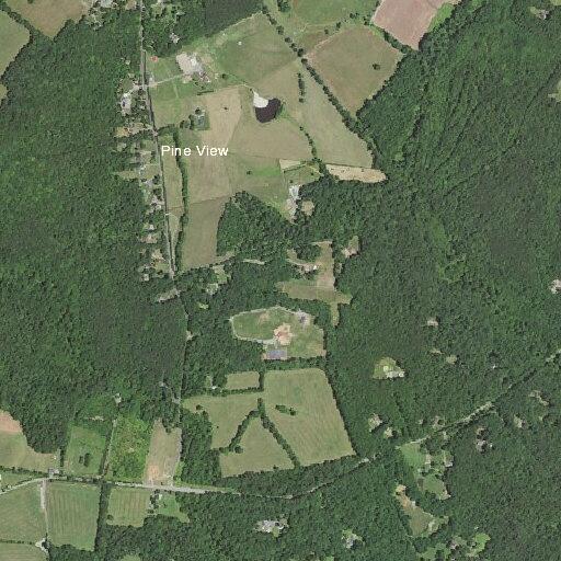 94-year-old woman falls, injured head, shoulder, arm