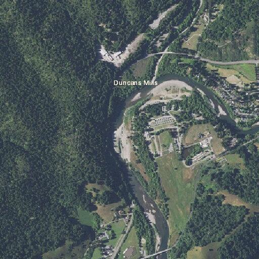Person Bleeding on Conifer Drive