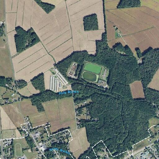 Person suffering allergic reaction in Selbyville
