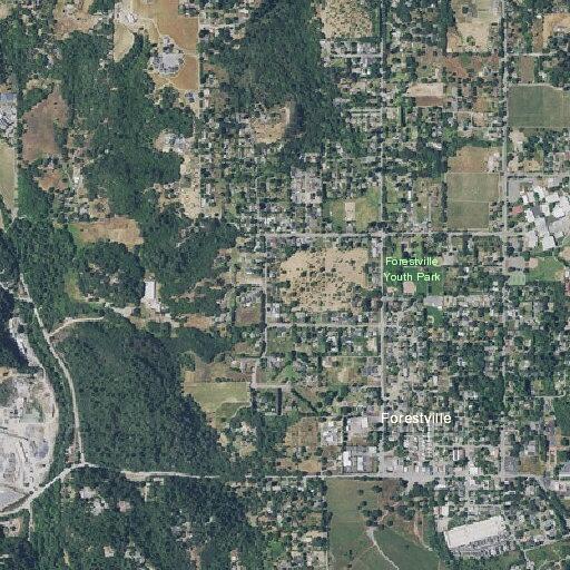 Person treated for diabetic issues at Forestville Youth Park
