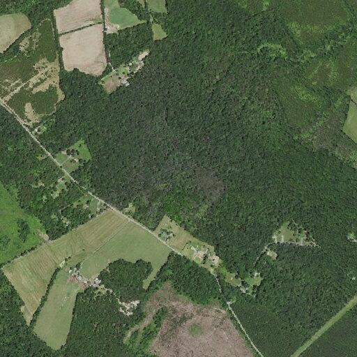 Animal welfare check on Carrico Mills Road