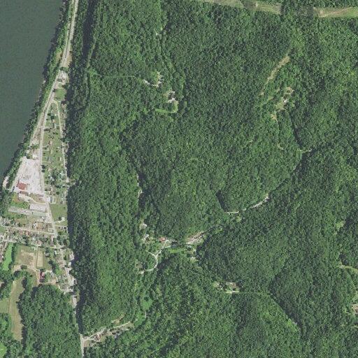 Patient found fallen near Nelson Branch Road