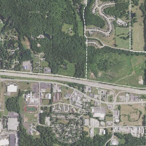 Tree blocks both lanes on Hogan Road