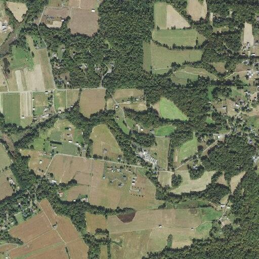 Person reporting chest pain at Sandy Point Road