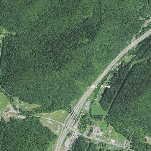 Traffic stop near Dollar General in Birch River