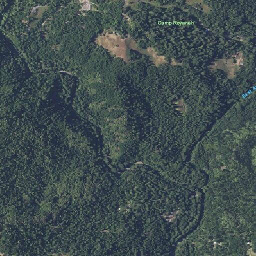 Elderly woman sick near Pole Mountain Road in Cazadero