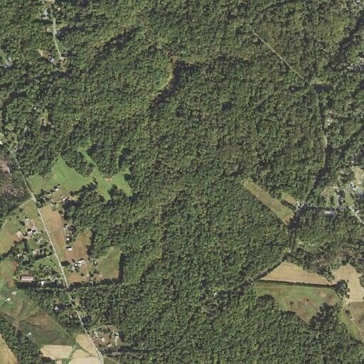 Person suffers head injury from fall at Parkers Creek Rd