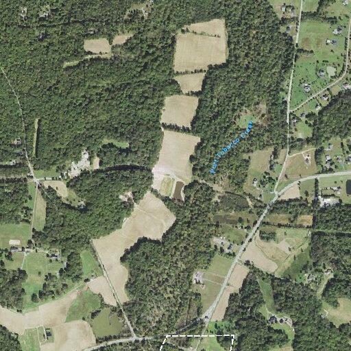 Tree blocking road on Rose Hill Road