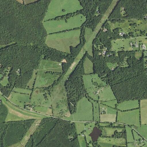 Car hits deer; driver reports stomach pain