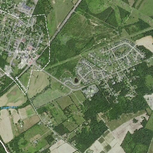 Report of loose calf and possible theft