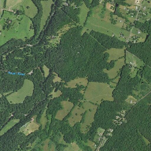 Loose cows reported on Old Stillhouse Road