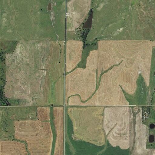 Calf loose on roadway near Northeast 60th Avenue