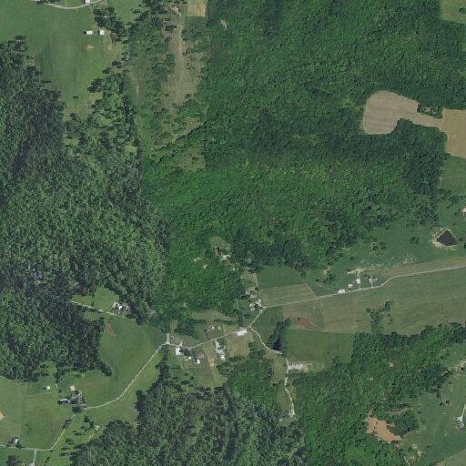 Elderly man needs lift assistance near Button Ridge Road