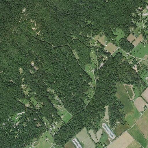 Child bitten by black snake on lower leg in Singers Glen