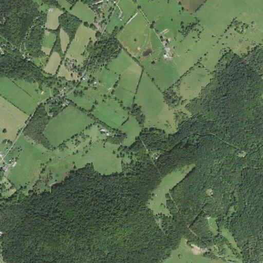 81-year-old man falls at Linville home