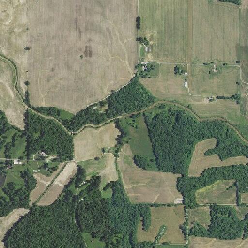 Person bitten by dog, bleeding from leg in Monroe City