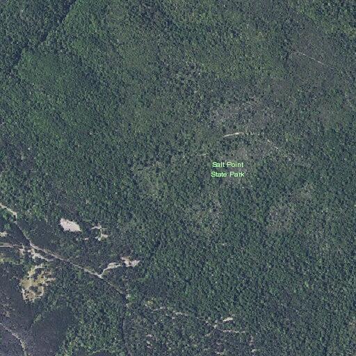 Person may have fallen and left Woodside Campground on foot