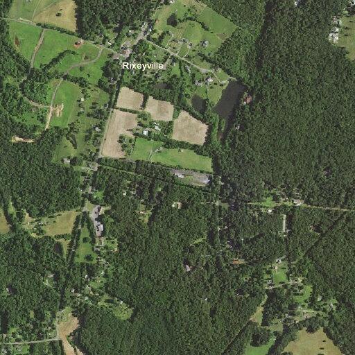 Dog loose in roadway on Ryland Chapel Road