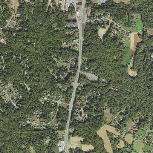 Tree blocking road near Target Supply store