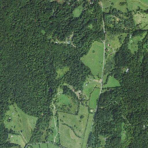Loose pig reported on F.T. Valley Road