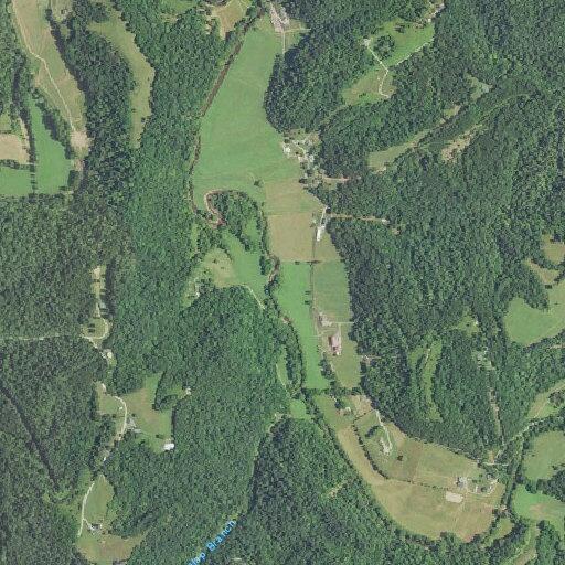 Person injured after fall near Maple Ridge Road, Buffalo