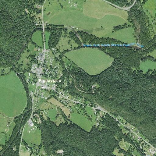 95-year-old female reported sick near Pinehill Ln