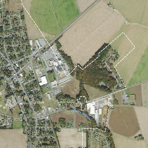 29-year-old man unconscious near Gold Rush Lane