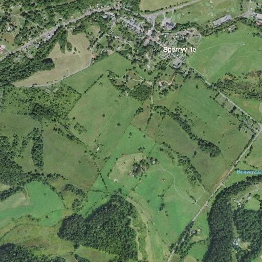 88-year-old female feels faint near Oak Lane in Rappahannock County