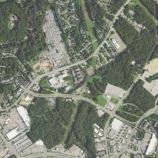 Person having a seizure near Prince William Parkway