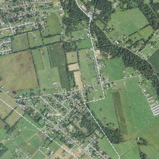 94-year-old woman conscious after fall in yard
