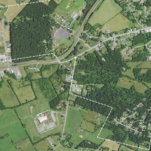 Person having allergic reaction in Whispering Pines area