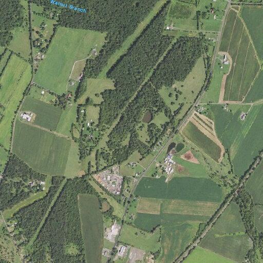 Cow loose near Catlett Road residence