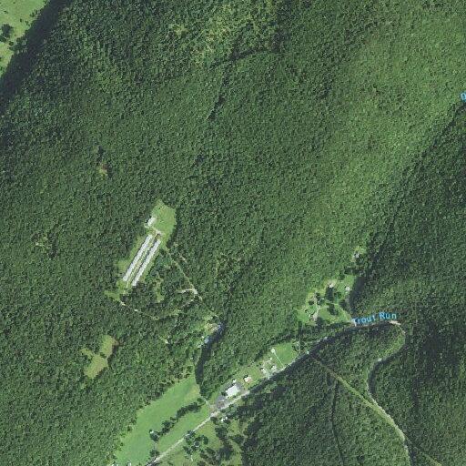 Elderly female with chest pain near Blue Gray Trail in Franklin