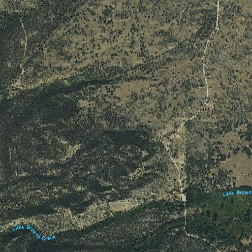 Firework set off near Browns Creek trail area