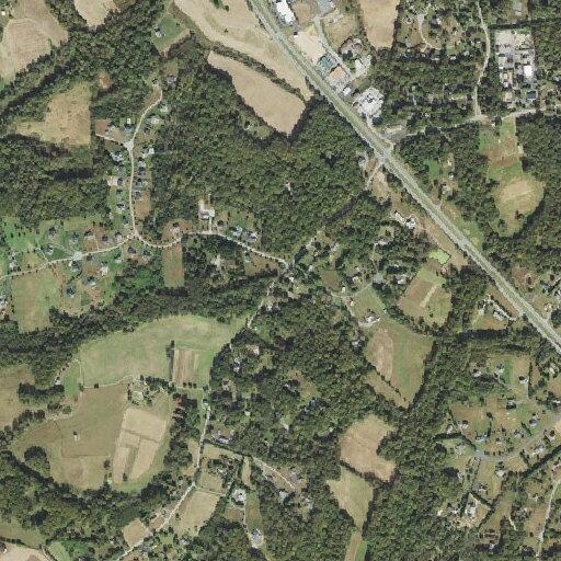Tree removed from roadway on Watson Road